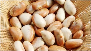 কাঁঠালের বীজ বাড়ায় রোগ প্রতিরোধ ক্ষমতা কাঁঠালের বীজ বাড়ায় রোগ প্রতিরোধ ক্ষমতা