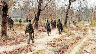 ভারতের মহারাষ্ট্রে পুলিশের সঙ্গে বন্দুকযুদ্ধে ২৬ মাওবাদী নিহত