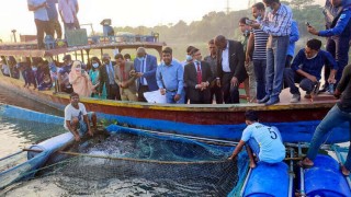 শীতলক্ষ্যায় ভাসমান খাঁচায় মাছ চাষ পরিদর্শনে তানজানিয়ার মন্ত্রী