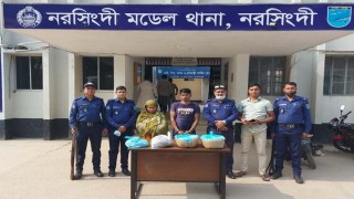 নরসিংদীতে গাঁজাসহ দুইজন আটক