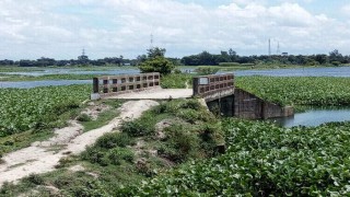 নরসিংদীতে সংযোগ সড়ক না থাকায় কাজে আসছে না দুই সেতু