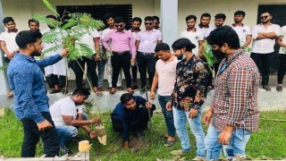 মেহেরপাড়ায় প্রধানমন্ত্রীর জন্মদিনে ছাত্রলীগের বৃক্ষরোপণ