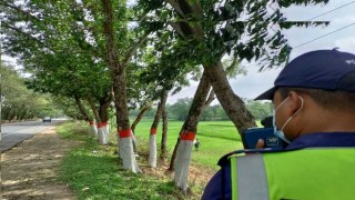 নরসিংদীতে ঈদকে ঘিরে মহাসড়কে শৃঙ্খলা রক্ষায় কঠোর হাইওয়ে পুলিশ