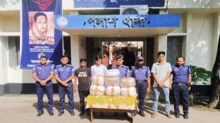 পলাশে ২৫ কেজি গাঁজাসহ দুইজন গ্রেপ্তার পলাশে ২৫ কেজি গাঁজাসহ দুইজন গ্রেপ্তার