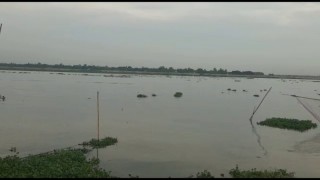 নরসিংদীতে মাছ ধরার সময় বজ্রপাতে এক জেলে নিহত, নিখোঁজ ১