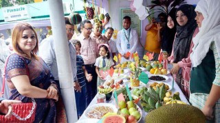 নরসিংদীতে দেশ-বিদেশী ফলের সঙ্গে শিক্ষার্থীদের পরিচয় করাতে ফল উৎসব