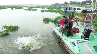 নরসিংদীর মেঘনা নদীতে ডুবে একজনের মৃত্যু, রায়পুরায় খোঁজ মেলেনি স্কুল ছাত্রের 