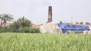 ১৪ ইটভাটা গিলে খাচ্ছে ডাঙ্গা ইউনিয়নের ফসলী জমি, রাস্তাঘাট ও পরিবেশ