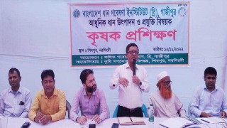 শিবপুরে আধুনিক ধান উৎপাদন ও প্রযুক্তি বিষয়ক কৃষক প্রশিক্ষণ শিবপুরে আধুনিক ধান উৎপাদন ও প্রযুক্তি বিষয়ক কৃষক প্রশিক্ষণ