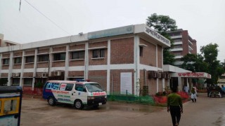 নরসিংদীতে আরও ২৯ জনের ডেঙ্গু শনাক্ত