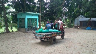 মনোহরদীতে অজ্ঞাত নারীর গলাকাটা মরদেহ উদ্ধার