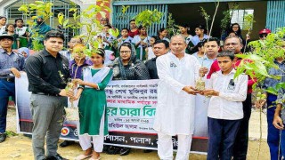 ‘একটি শিশু, একটি গাছ-প্রাণপ্রাচুর্যের পলাশ’