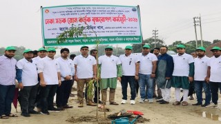 পাঁচদোনা-ডাঙ্গা-ঘোড়াশাল ৬ লেন মহাসড়কে বৃক্ষরোপণ কর্মসূচি 
