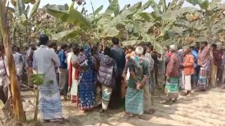 মনোহরদীতে কলাবাগান থেকে অটোরিকশা চালকের মরদেহ উদ্ধার মনোহরদীতে কলাবাগান থেকে অটোরিকশা চালকের মরদেহ উদ্ধার
