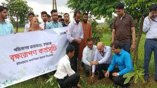 পরিবেশের ভারসাম্য রক্ষায় শিবপুরে বৃক্ষরোপণ কর্মসূচি