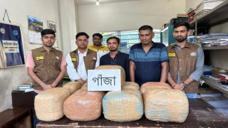 শিবপুরে ৫০ কেজি গাঁজাসহ দুইজন আটক