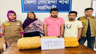 নরসিংদীতে ১০ কেজি গাঁজা সহ ৩ জন গ্রেপ্তার