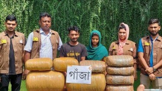 নরসিংদীতে ৪০ কেজি গাঁজাসহ দুইজন আটক