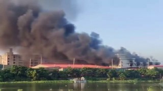 ডাঙ্গায় প্রাণ আরএফএল কারখানায় আগুন ডাঙ্গায় প্রাণ আরএফএল কারখানায় আগুন
