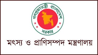 মৎস্য অধিদপ্তরের জন্য ৮২টি নতুন পদ সৃজন মৎস্য অধিদপ্তরের জন্য ৮২টি নতুন পদ সৃজন
