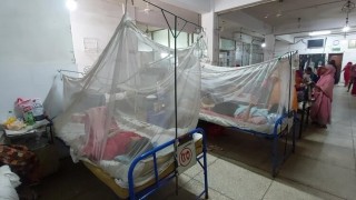 নরসিংদীতে ২৪ ঘন্টায় ডেঙ্গু শনাক্ত ১৫ জনের