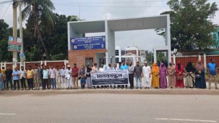 অধ্যক্ষ লাঞ্চিতের প্রতিবাদে তাঁতবোর্ড চেয়ারম্যানের বিরুদ্ধে মানববন্ধন