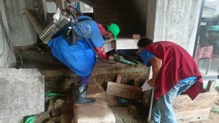 সারাদেশে একদিনে মশার ৮ হাজার প্রজননস্থল ধ্বংস সারাদেশে একদিনে মশার ৮ হাজার প্রজননস্থল ধ্বংস