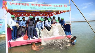 কৃষিতে অতিরিক্ত বালাইনাশক ব্যবহারের ফলে হাওরের মৎস্য সম্পদ ক্ষতির সম্মুখীন কৃষিতে অতিরিক্ত বালাইনাশক ব্যবহারের ফলে হাওরের মৎস্য সম্পদ ক্ষতির সম্মুখীন