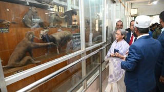 বাংলাদেশ জাতীয় চিড়িয়াখানা আধুনিকায়ন করা হবে বাংলাদেশ জাতীয় চিড়িয়াখানা আধুনিকায়ন করা হবে