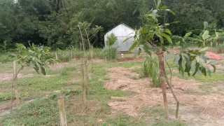 রায়পুরায় ৭ বছর পর নদী খননের মাটি বিক্রির নিলাম, বিপাকে কৃষকরা