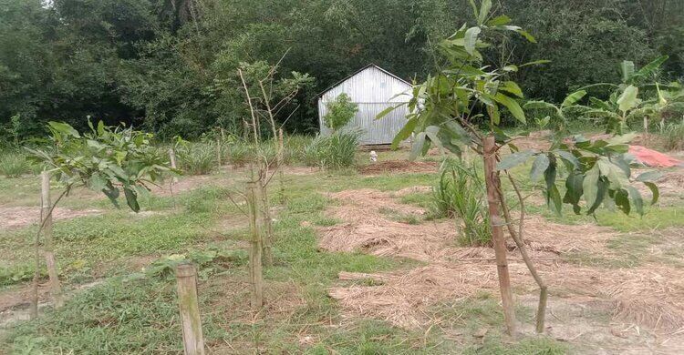 রায়পুরায় ৭ বছর পর নদী খননের মাটি বিক্রির নিলাম, বিপাকে কৃষকরা রায়পুরায় ৭ বছর পর নদী খননের মাটি বিক্রির নিলাম, বিপাকে কৃষকরা