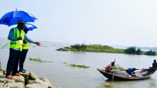 ইলিশ রক্ষায় আজ থেকে জাটকা শিকারে নিষেধাজ্ঞা কার্যকর