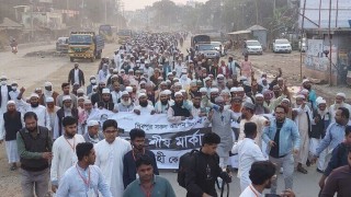 শিবপুরে ধানের শীষের সমর্থনে আলেম ওলামাদের মিছিল