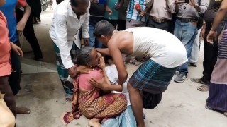 রায়পুরায় গোসল করতে নেমে খালের পানিতে ডুবে ৪ কন্যা শিশুর মৃত্যু