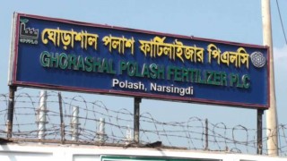 গ্যাস সংকট: এ বছর উৎপাদন লক্ষ্যমাত্রা পূরণ হয়নি ঘোড়াশাল-পলাশ ইউরিয়া সার কারখানায় 
