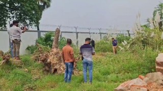পলাশে নিখোঁজের ৩ দিন পর সারকারখানা থেকে বৃদ্ধের মরদেহ উদ্ধার